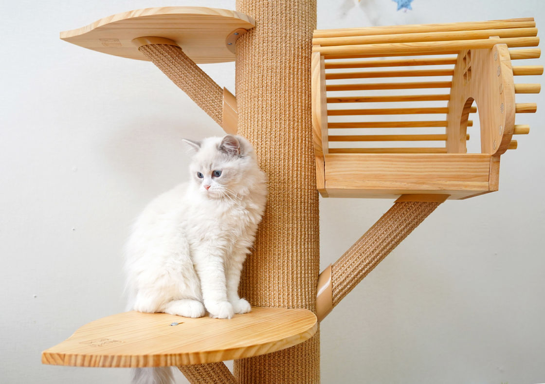 grande Cat Climbing Tree Cat Activity tour en bois solide de 123cm avec rayer des courriers