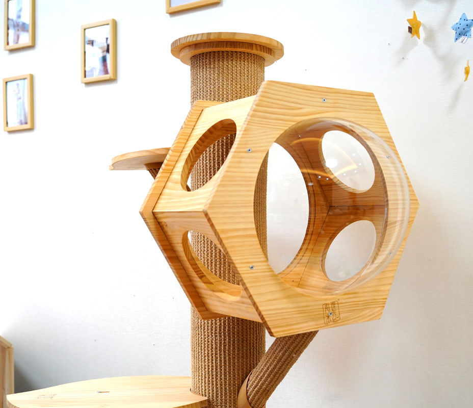 Capsule en bois de Cat Climbing Tower With Space de caverne de lit d'animal familier d'hexagone de luxe