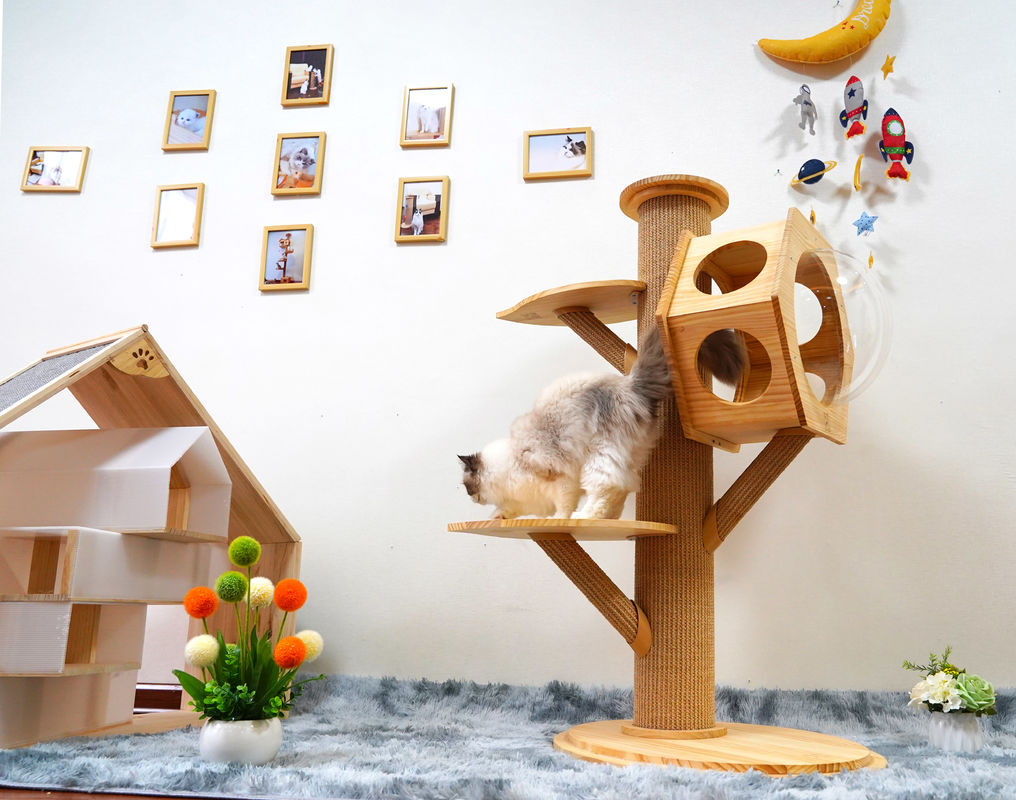 Capsule en bois de Cat Climbing Tower With Space de caverne de lit d'animal familier d'hexagone de luxe