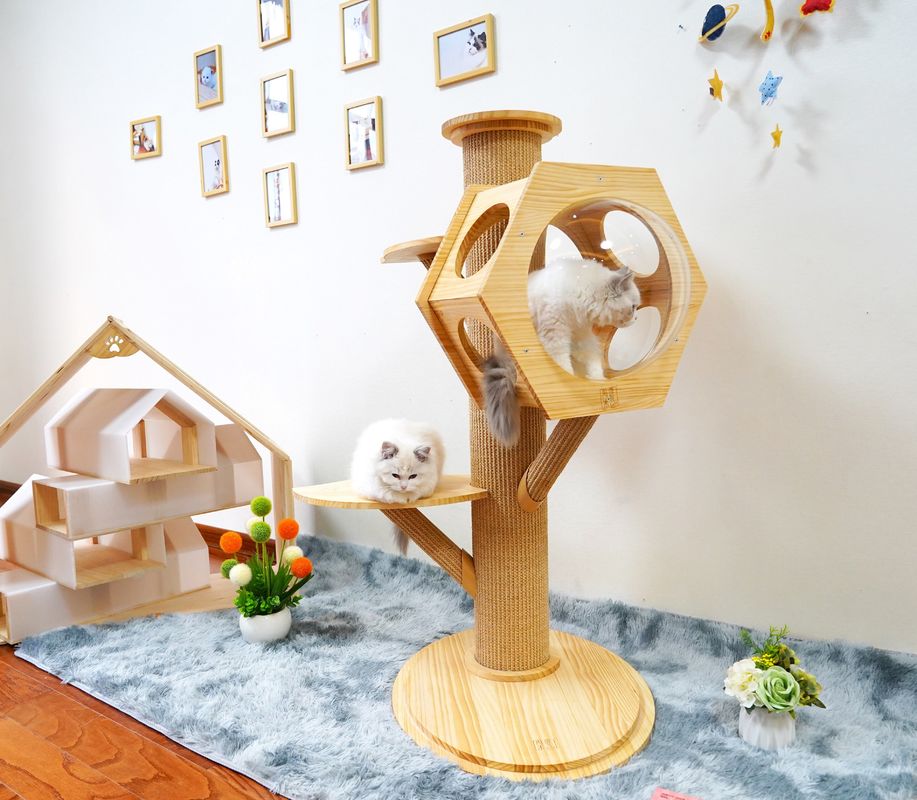 Capsule en bois de Cat Climbing Tower With Space de caverne de lit d'animal familier d'hexagone de luxe