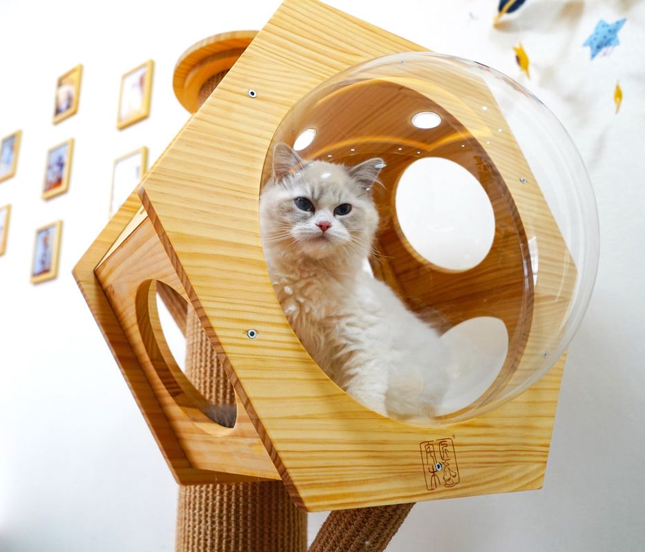 Capsule en bois de Cat Climbing Tower With Space de caverne de lit d'animal familier d'hexagone de luxe