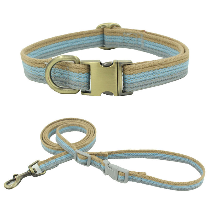 L'animal familier tordu en nylon de corde que la laisse peut être corde gravée de traction de collier de sangle a placé l'ensemble de laisse de chien