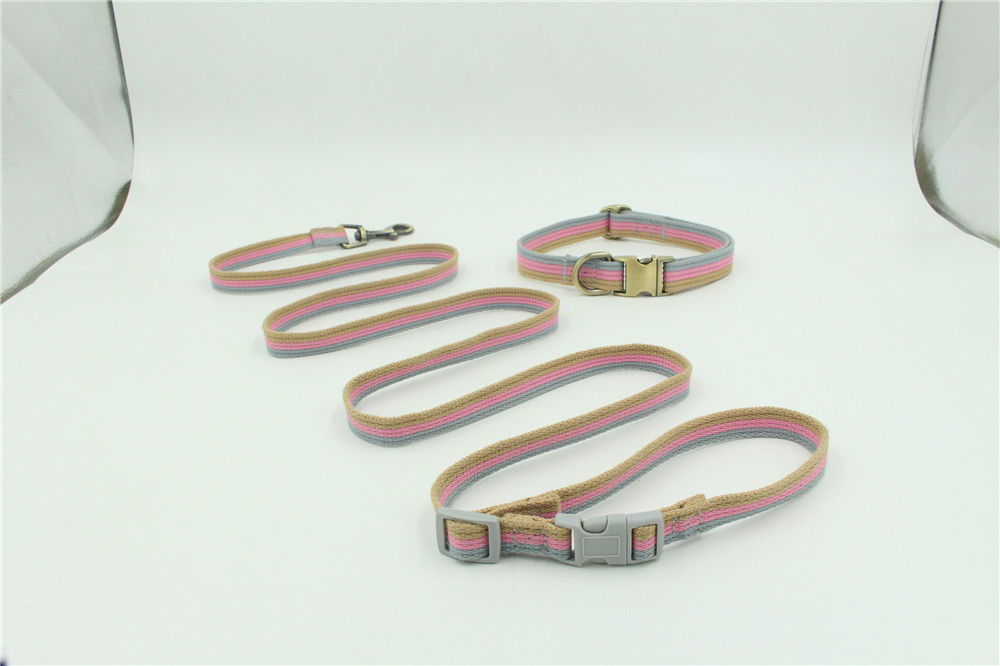 L'animal familier tordu en nylon de corde que la laisse peut être corde gravée de traction de collier de sangle a placé l'ensemble de laisse de chien