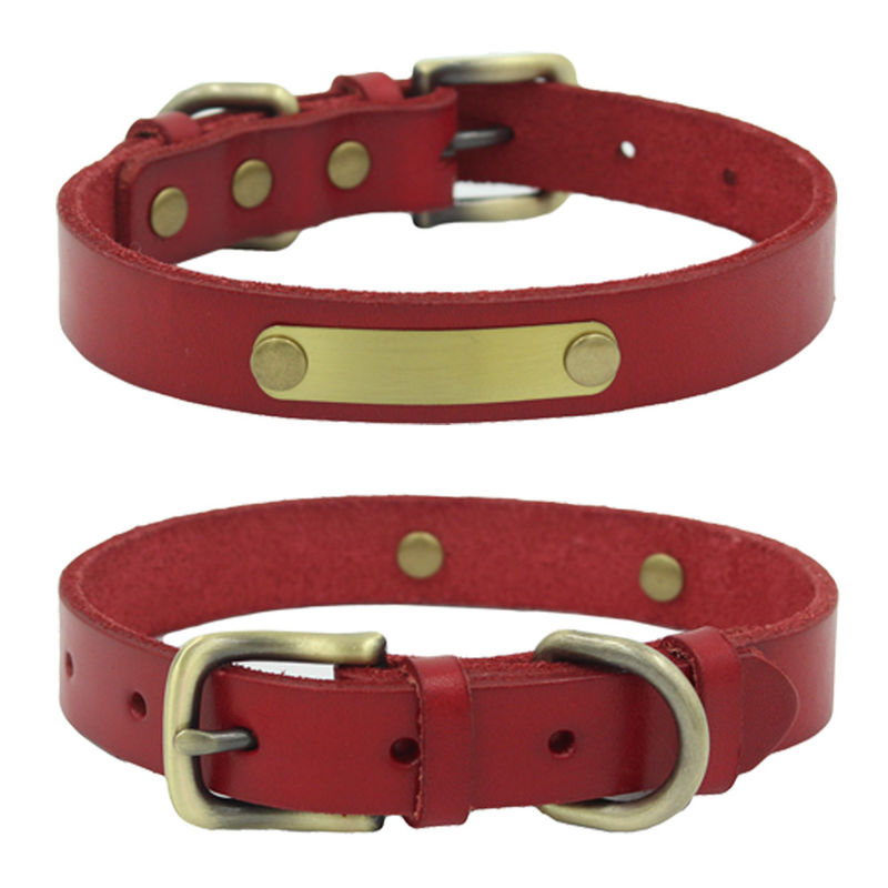Fixe avec la laisse de chien de collier de peau de vache de couche supérieure de rivets gravée sur la feuille en bronze de fer