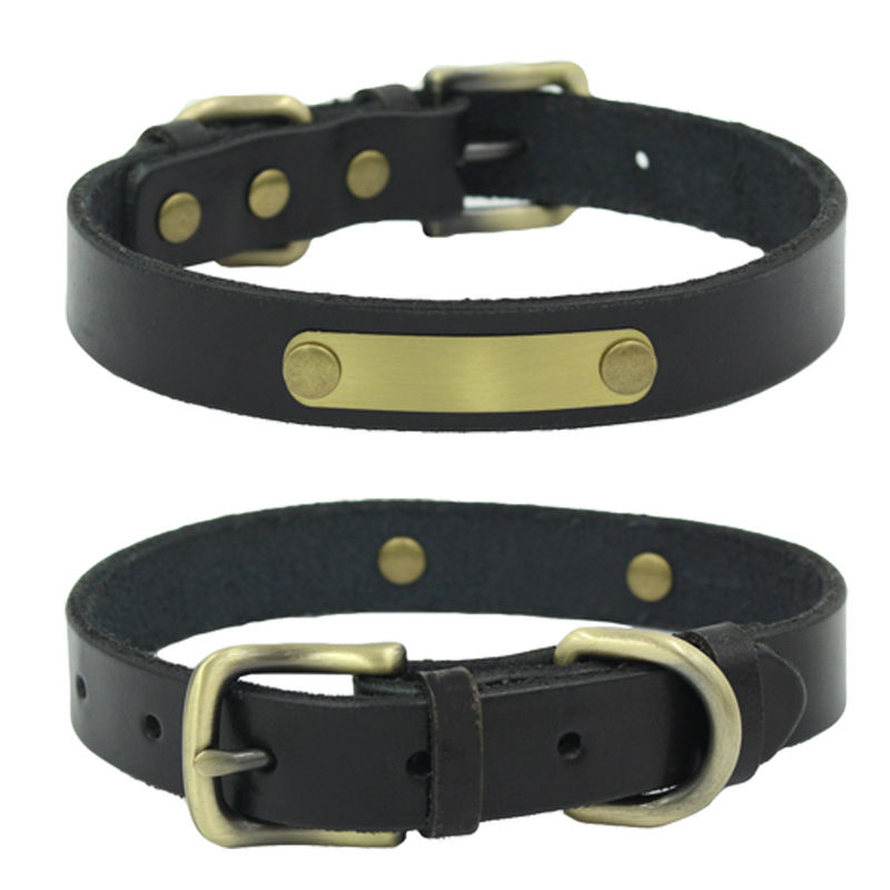 Fixe avec la laisse de chien de collier de peau de vache de couche supérieure de rivets gravée sur la feuille en bronze de fer