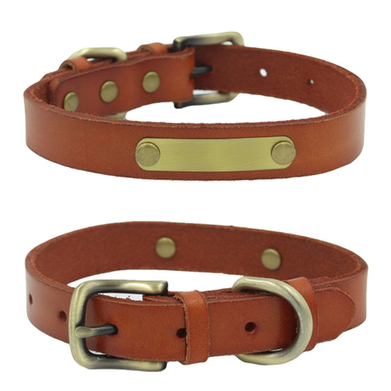Fixe avec la laisse de chien de collier de peau de vache de couche supérieure de rivets gravée sur la feuille en bronze de fer
