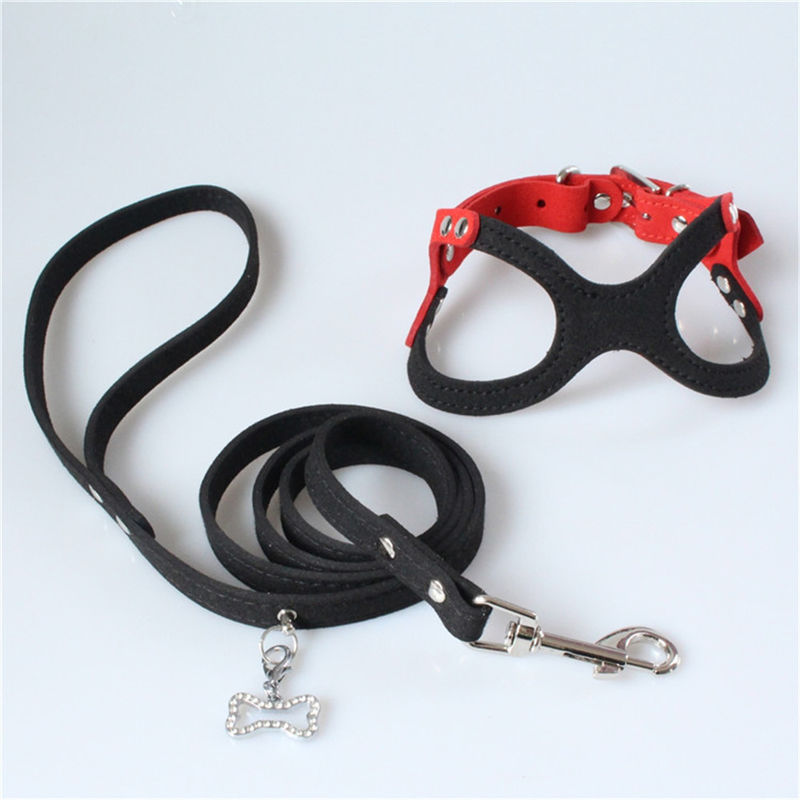 Hallupets Mesh Padded Collar Leash Harness mou a placé le coffre de chien et la traction arrière
