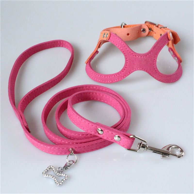 Hallupets Mesh Padded Collar Leash Harness mou a placé le coffre de chien et la traction arrière