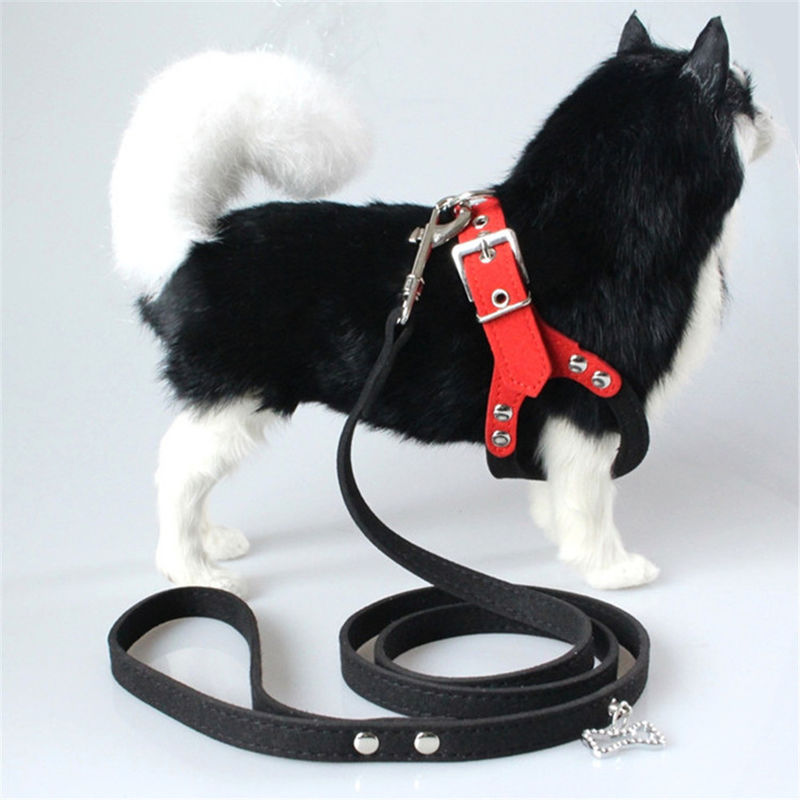 Hallupets Mesh Padded Collar Leash Harness mou a placé le coffre de chien et la traction arrière