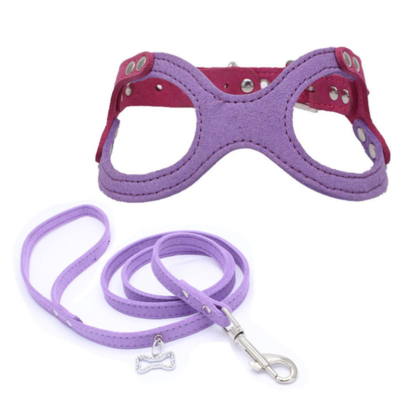 Hallupets Mesh Padded Collar Leash Harness mou a placé le coffre de chien et la traction arrière