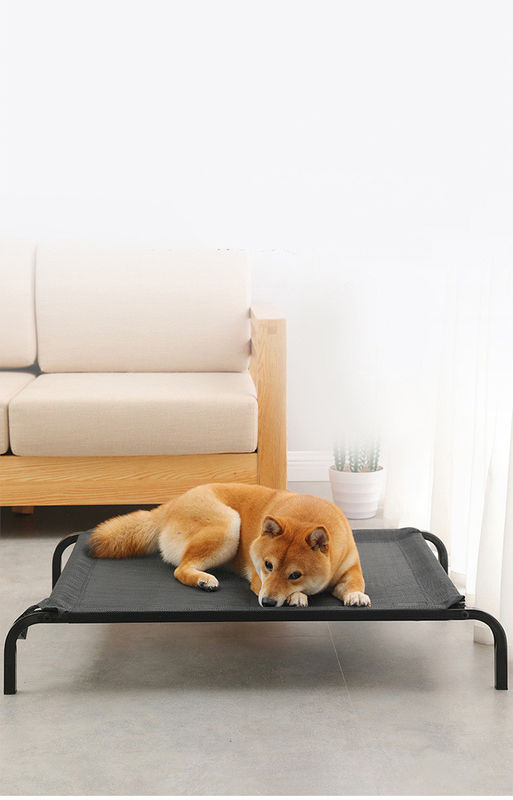 Tube en acier de grande taille pliant le lit de chien élevé par berceau confortable de lit d'animal familier avec les coussins épaissis de peluche