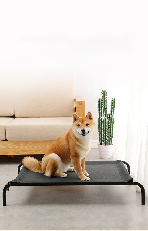 Tube en acier de grande taille pliant le lit de chien élevé par berceau confortable de lit d'animal familier avec les coussins épaissis de peluche