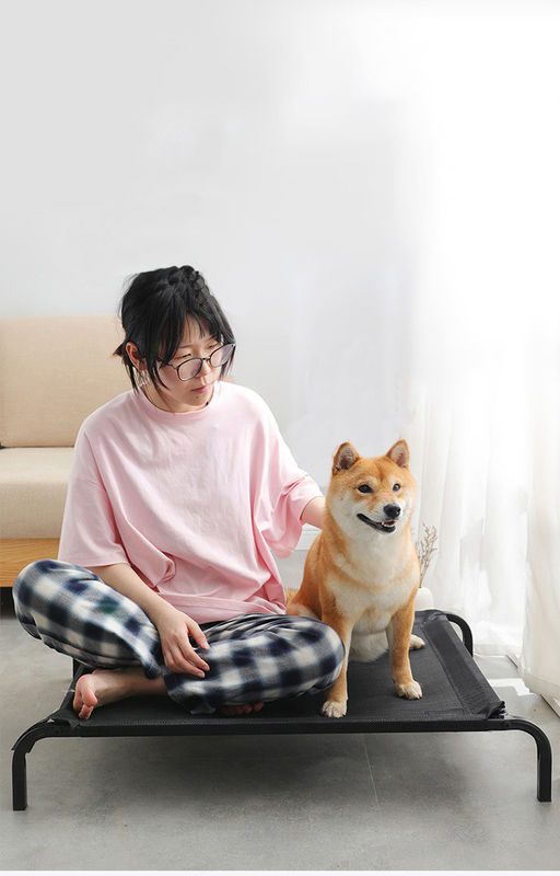 Tube en acier de grande taille pliant le lit de chien élevé par berceau confortable de lit d'animal familier avec les coussins épaissis de peluche