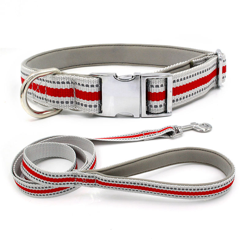 L'avance et le collier en alliage de zinc confortables de chiot de cordon ont placé la laisse réfléchie de chien de ruban