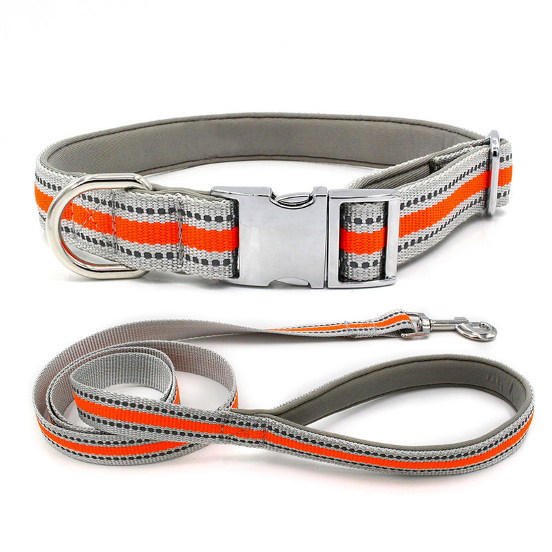 L'avance et le collier en alliage de zinc confortables de chiot de cordon ont placé la laisse réfléchie de chien de ruban