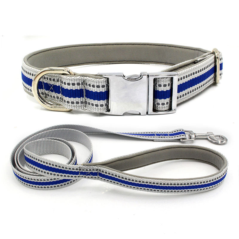 L'avance et le collier en alliage de zinc confortables de chiot de cordon ont placé la laisse réfléchie de chien de ruban