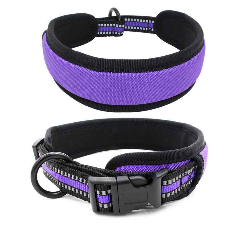 Le néoprène rayant la laisse de collier de chien a placé le collier réfléchi de boucle de libération rapide de sangle avec la laisse de chien d'ensemble de corde de traction