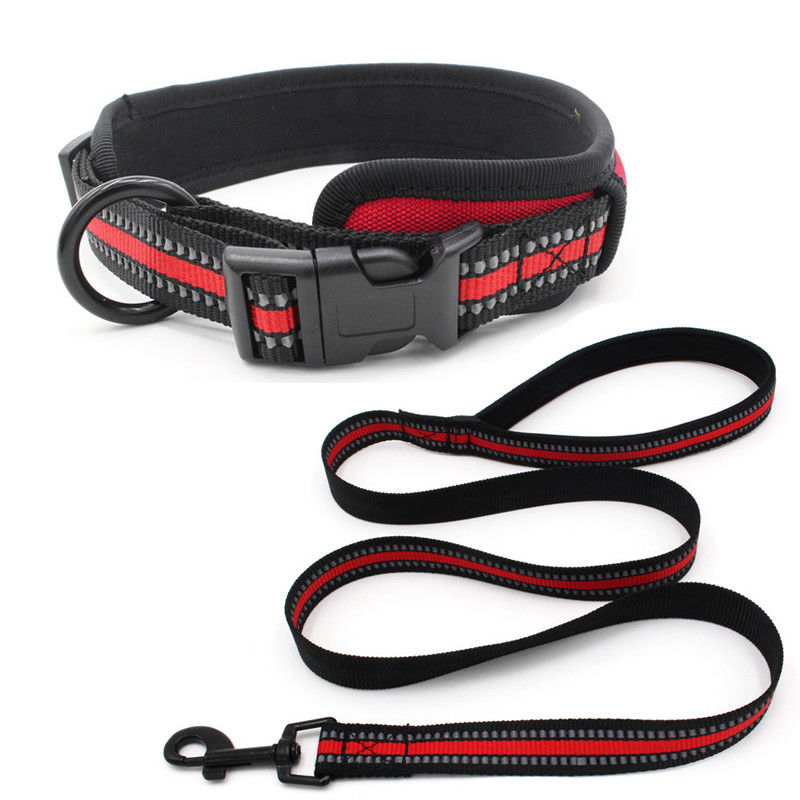 Le néoprène rayant la laisse de collier de chien a placé le collier réfléchi de boucle de libération rapide de sangle avec la laisse de chien d'ensemble de corde de traction