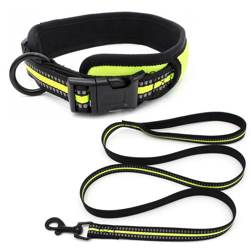 Le néoprène rayant la laisse de collier de chien a placé le collier réfléchi de boucle de libération rapide de sangle avec la laisse de chien d'ensemble de corde de traction