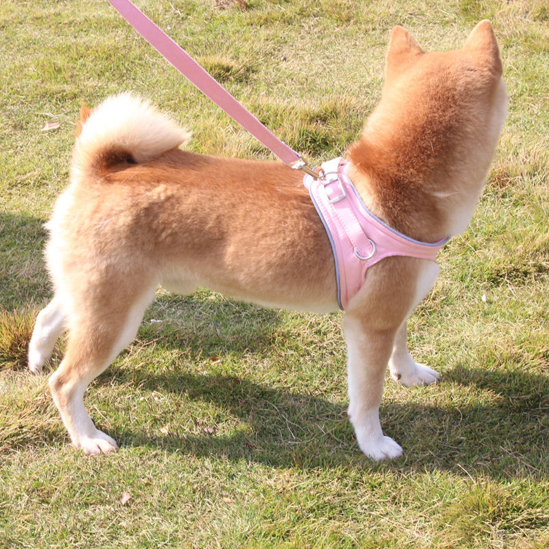 Gilet rouge réfléchissant de laisse de chien de nouveau suède anti-déflagrant