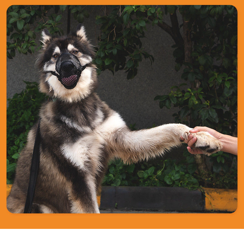 Le chien respirable de haute qualité réglable d'anti-misfeeding biens muselle la couverture confortable de bouche de chien