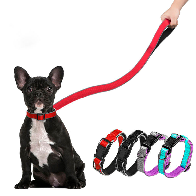Ensemble fort de collier et de laisse de chien de chien de mousse intérieure en nylon respirable réfléchie de collier