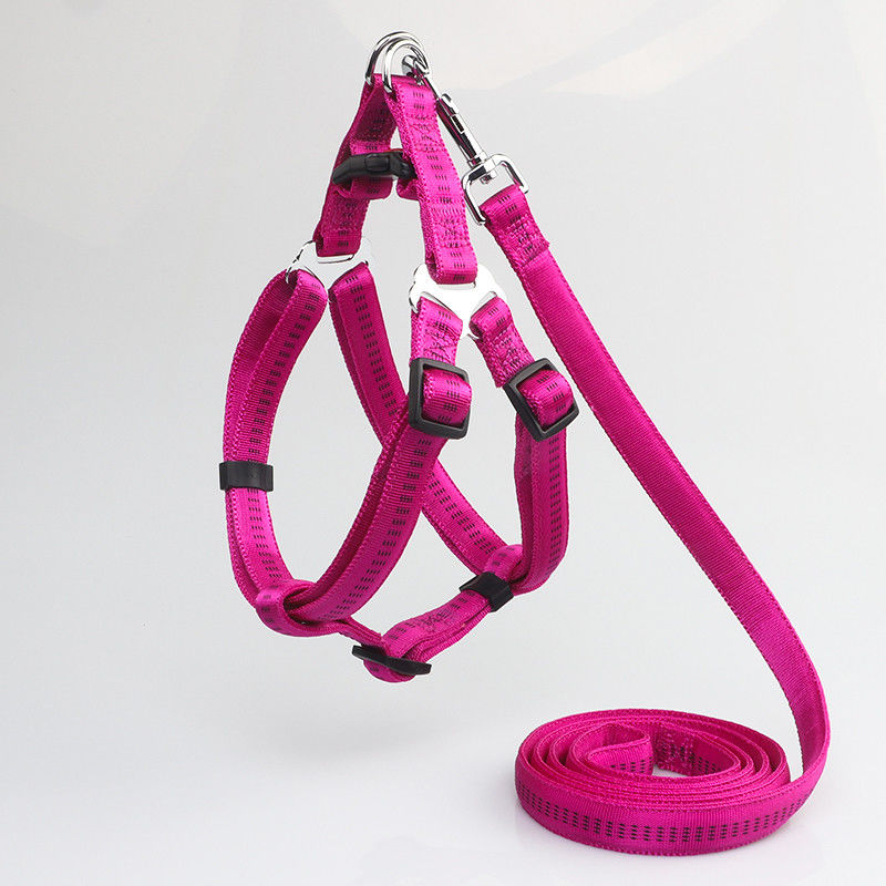 Aucun absorbant de traction ne glissent non l'ensemble réglable réfléchi de collier de laisse de harnais de chien en nylon