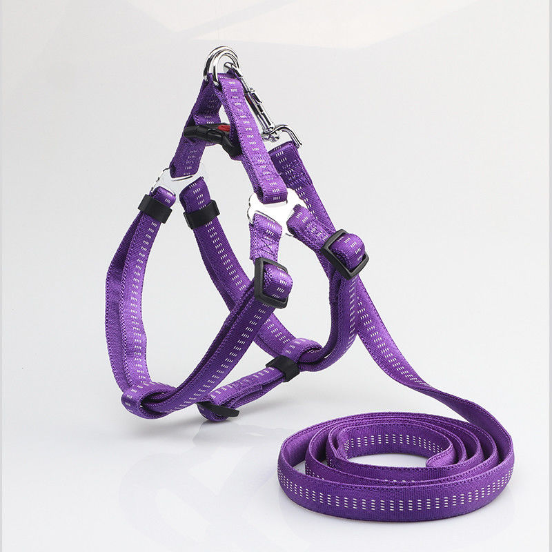 Aucun absorbant de traction ne glissent non l'ensemble réglable réfléchi de collier de laisse de harnais de chien en nylon