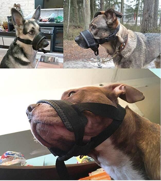 Le harnais en nylon de laisse de collier de museau de chien a placé morsure capitonnée molle de couverture de bouche de chien l'anti