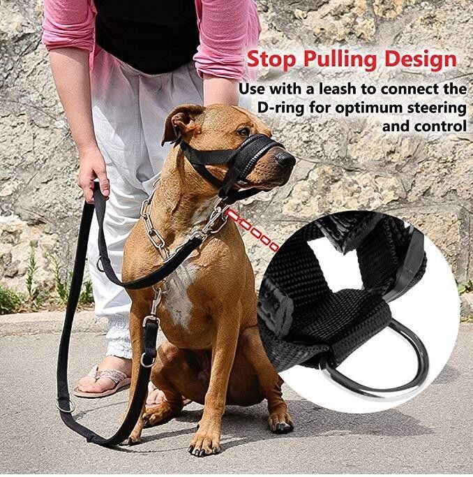 Le harnais en nylon de laisse de collier de museau de chien a placé morsure capitonnée molle de couverture de bouche de chien l'anti