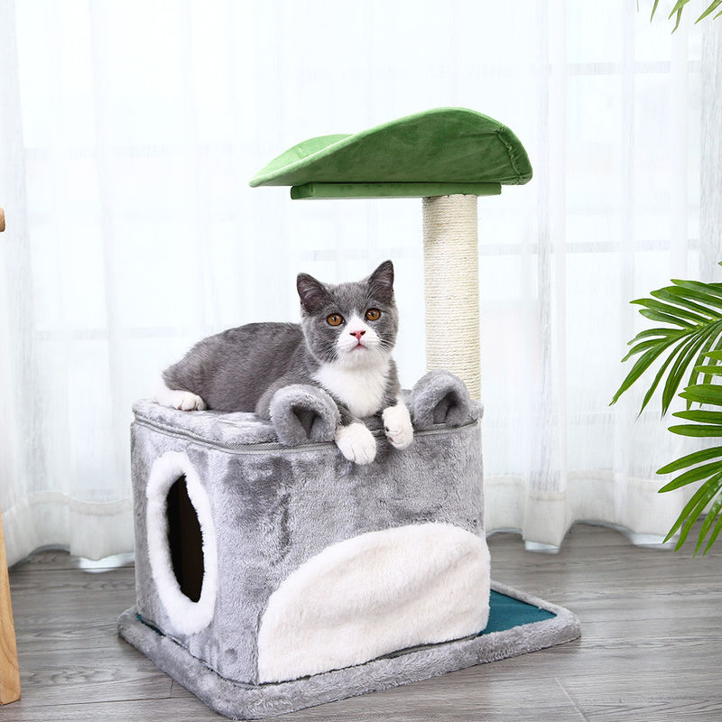 Niveau de luxe de Cat Climbing Frame Tree Multi de sécurité avec la caverne rayant la taille 61*41*132cm des courriers M