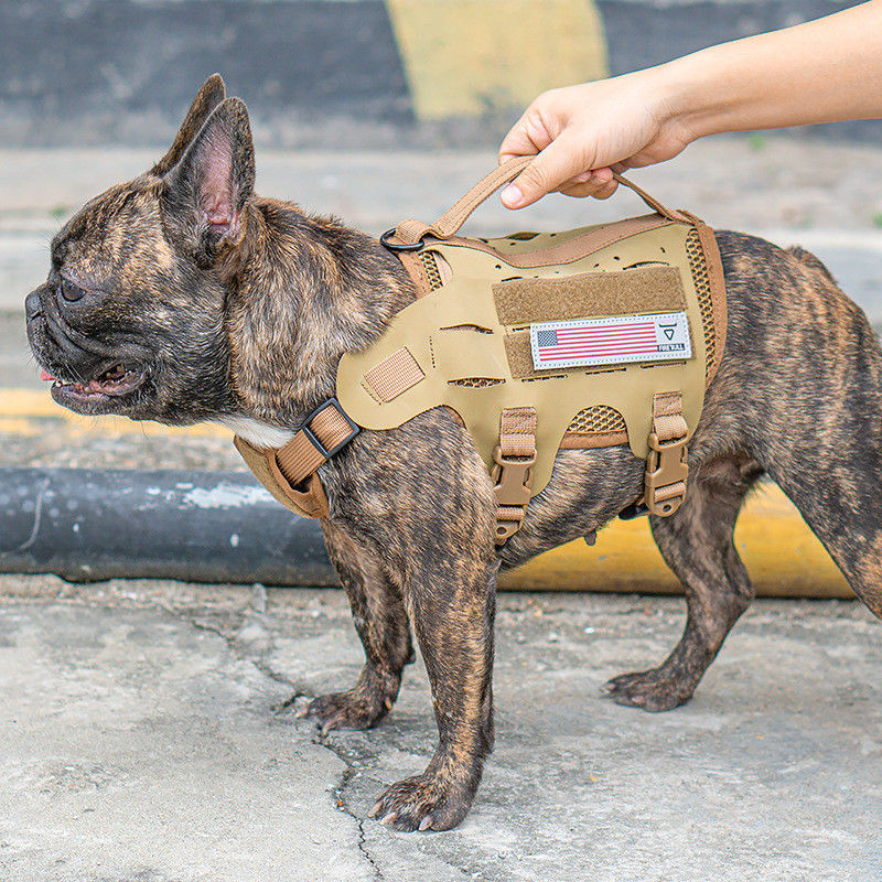 Courroie tactique extérieure de coffre de formation d'animal familier avec la laisse matérielle de chien de style de gilet de laisse de chien de harnais de chien de Hypalon