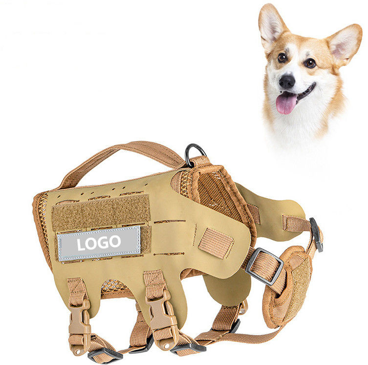 Courroie tactique extérieure de coffre de formation d'animal familier avec la laisse matérielle de chien de style de gilet de laisse de chien de harnais de chien de Hypalon