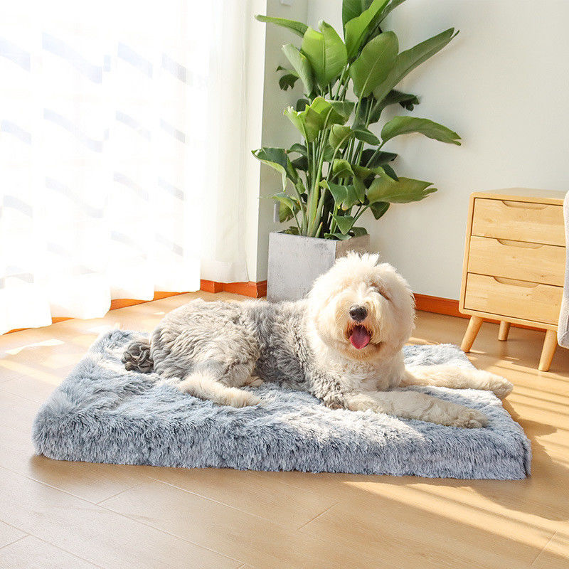 Lit pelucheux 330g de chien de Mat Removable And Washable Cat d'animal familier de lit confortable d'animal familier de SEDEX
