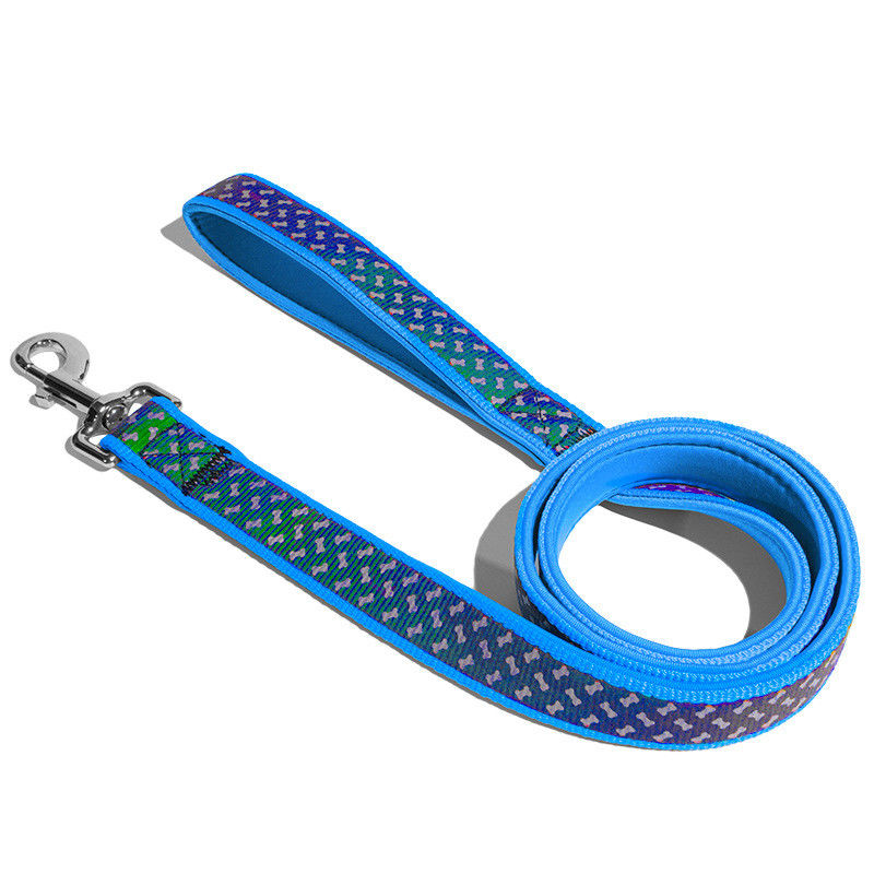 Le néoprène mou de colliers de chien de laisse de chien choie l'ensemble exclusif réfléchi de laisse de harnais de corde d'animal familier d'accessoires