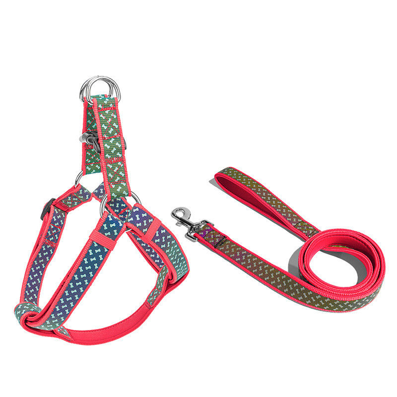 Le néoprène mou de colliers de chien de laisse de chien choie l'ensemble exclusif réfléchi de laisse de harnais de corde d'animal familier d'accessoires