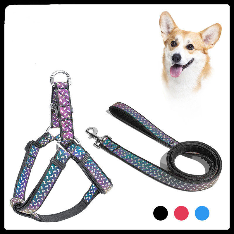 Le néoprène mou de colliers de chien de laisse de chien choie l'ensemble exclusif réfléchi de laisse de harnais de corde d'animal familier d'accessoires