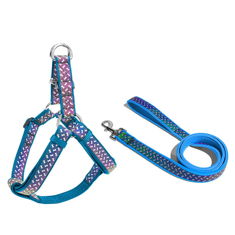 Le néoprène mou de colliers de chien de laisse de chien choie l'ensemble exclusif réfléchi de laisse de harnais de corde d'animal familier d'accessoires