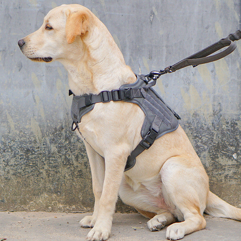 Harnais militaire tactique de chien de gilet avec la sécurité tactique d'ODM Molle de boucle pour le service et le gilet militaire s'exerçant de chien
