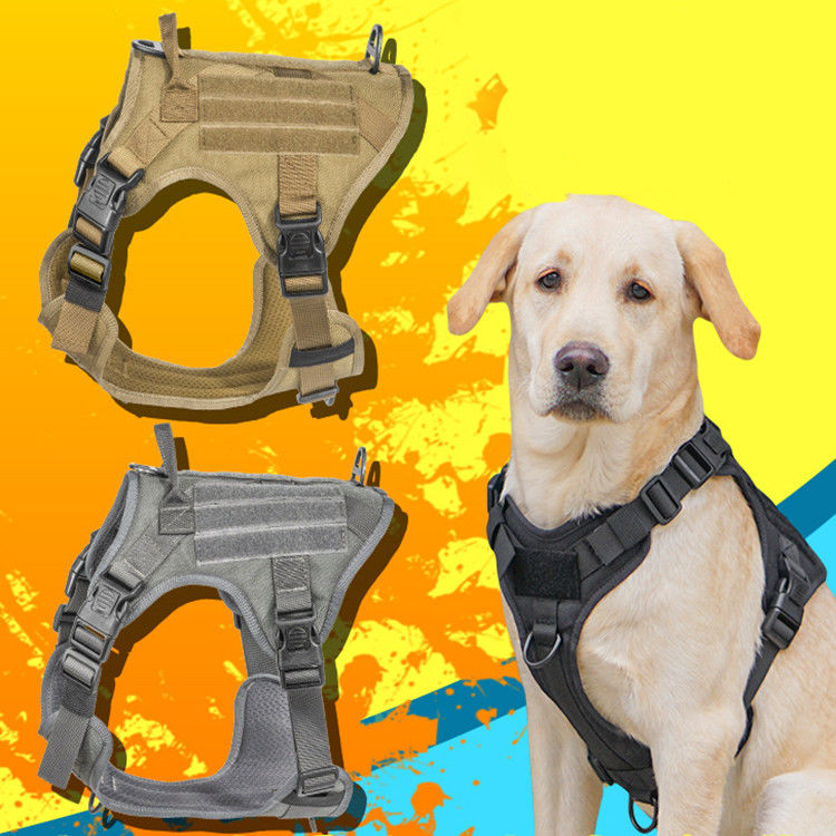 Harnais militaire tactique de chien de gilet avec la sécurité tactique d'ODM Molle de boucle pour le service et le gilet militaire s'exerçant de chien