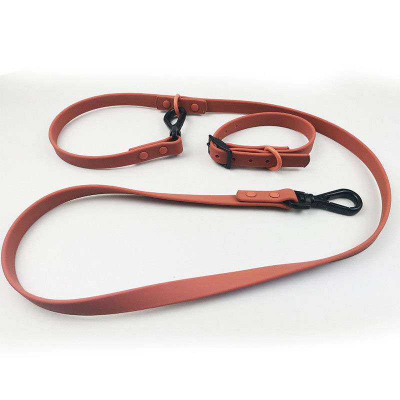L'ensemble en cuir mol durable exclusif de collier et de laisse de chien de PVC a enduit imperméable