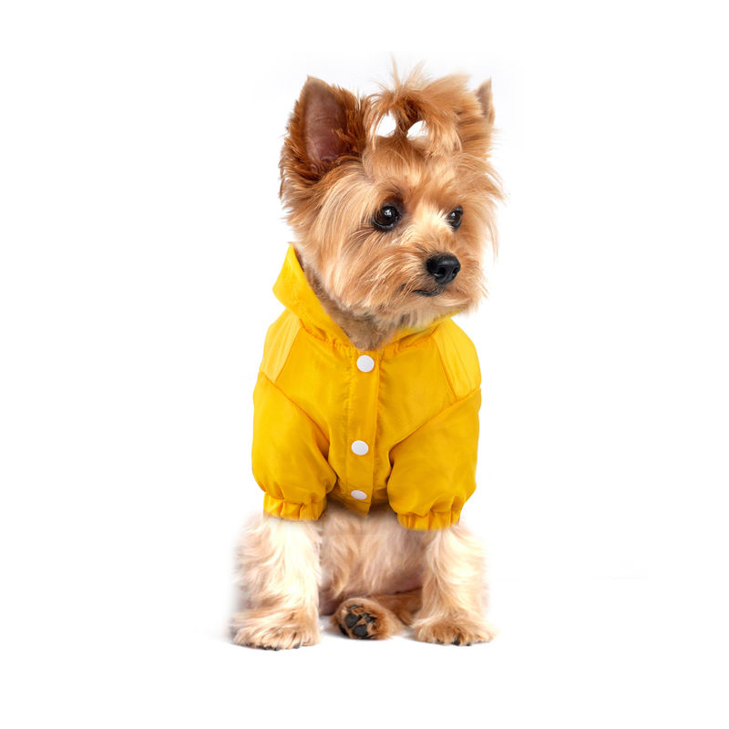 Vestes lumineuses uniques de pluie d'imperméable réfléchi extérieur d'animal familier avec le sac de stockage pour des chiens