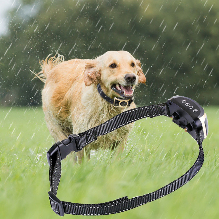 Produits innovateurs de formation d'animal familier de contrôle aucun colliers de choc de formation de chien d'écorce