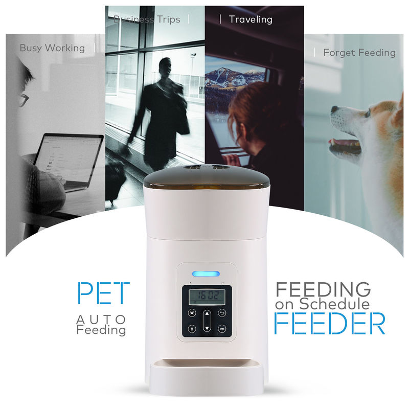 Choie le conducteur de chien et le distributeur automatiques de l'eau avec le bol de nourriture conçu