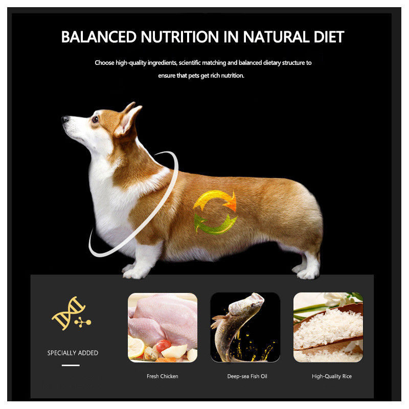 Aliment pour animaux familiers sec de couleur naturelle Cat Treats Pvc Bag Bulk Cat Food sèche