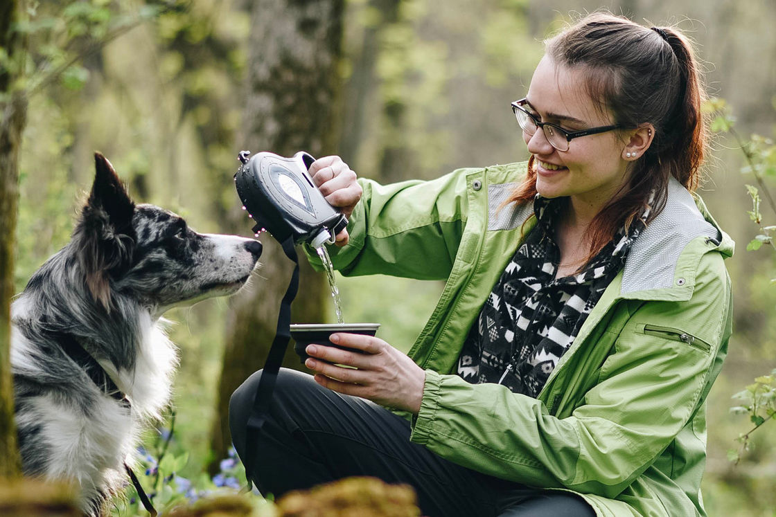 5 multifonctionnels dans 1 bouteille d'eau en nylon de laisse de chien avec le distributeur de sac de déchets de cuvette