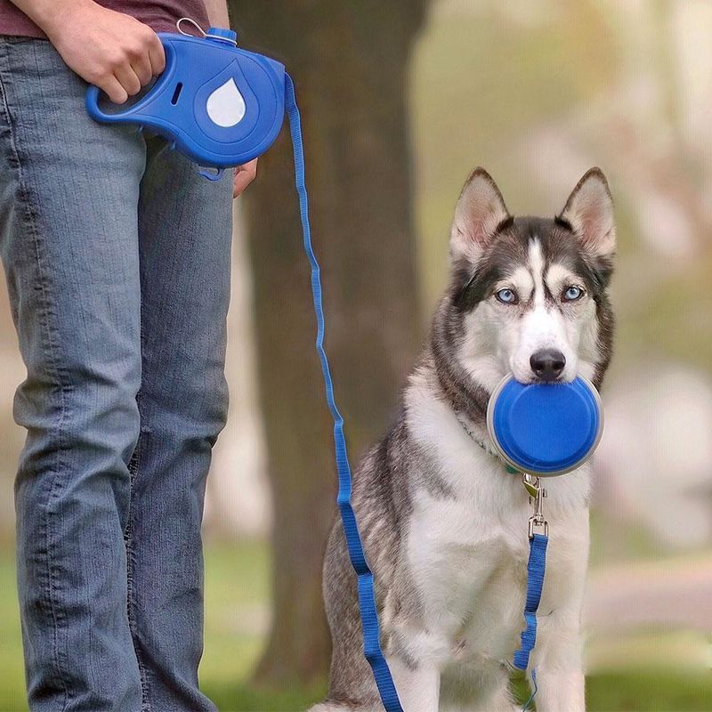 5 DANS 1 bouteille d'eau portative de chien de laisse en nylon de chien avec le distributeur pliant de sac de dunette de chien de cuvette