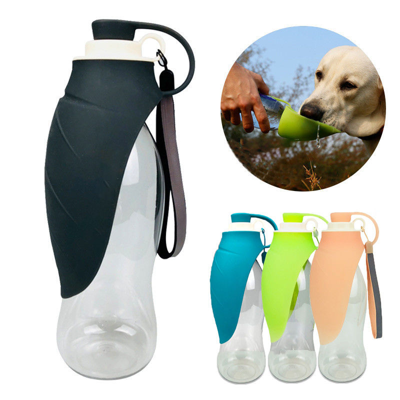bouteilles potables de silicone de la feuille 580ml de chien de chien pliable de bouteille d'eau pour la hausse de déplacement