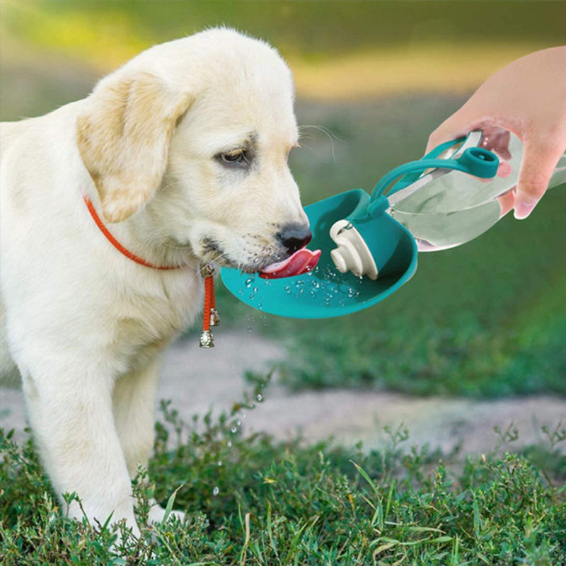 Conception portative extérieure 580ML de preuve de fuite de bouteille d'eau d'animal familier de silicone