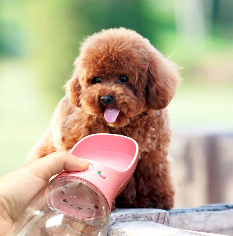 Bouteille d'eau pliable portative de chien de tasse des boissons 12-20OZ pour la marche
